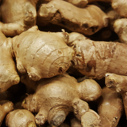 Ginger Root