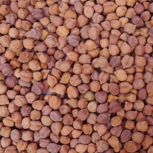 24 Mantra Organic Brown Chana 2 Lb.