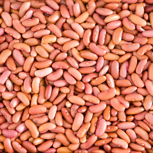 Swad Kidney Beans (Light) 4 Lb.