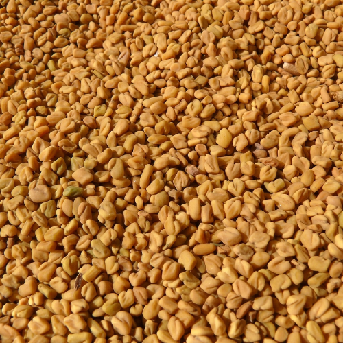 Swad Methi Seeds 14 Oz.