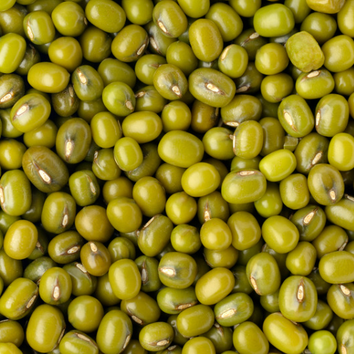 Organic Green Moong Whole 4 Lb.