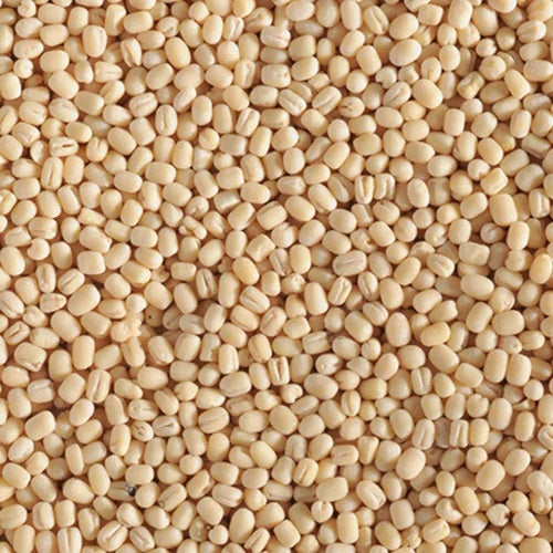 Organic Urad Gota 4 Lb.