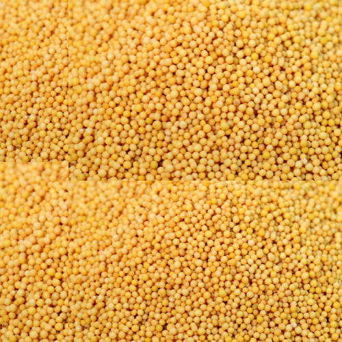 Swad Mustard Seeds Yellow 7 Oz.